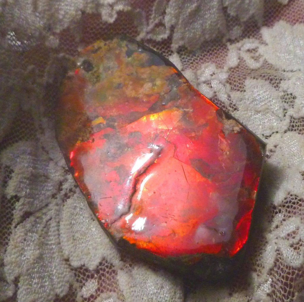 65x36mm RED AMMOLITE  Color change gemstone Canada Ammonite