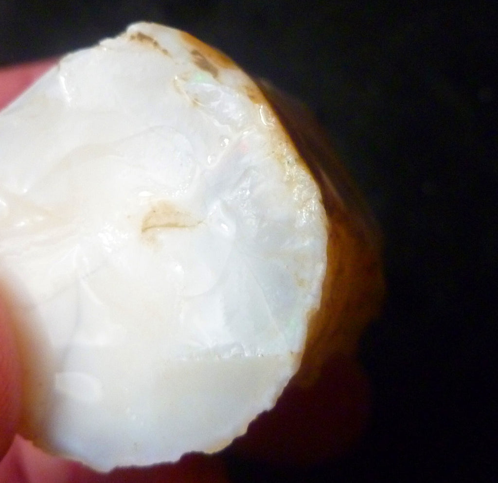 Awesome!  Virgin Valley WHITE Precious Opal Petrified Wood Log Nevada 271..2 cts