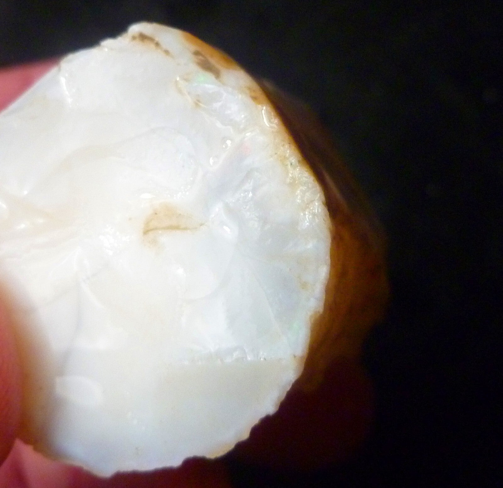 Awesome!  Virgin Valley WHITE Precious Opal Petrified Wood Log Nevada 271..2 cts
