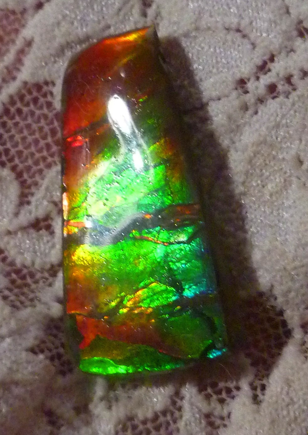 Ammolite Gem Stone 29x15x9mm Color Change Cabochon