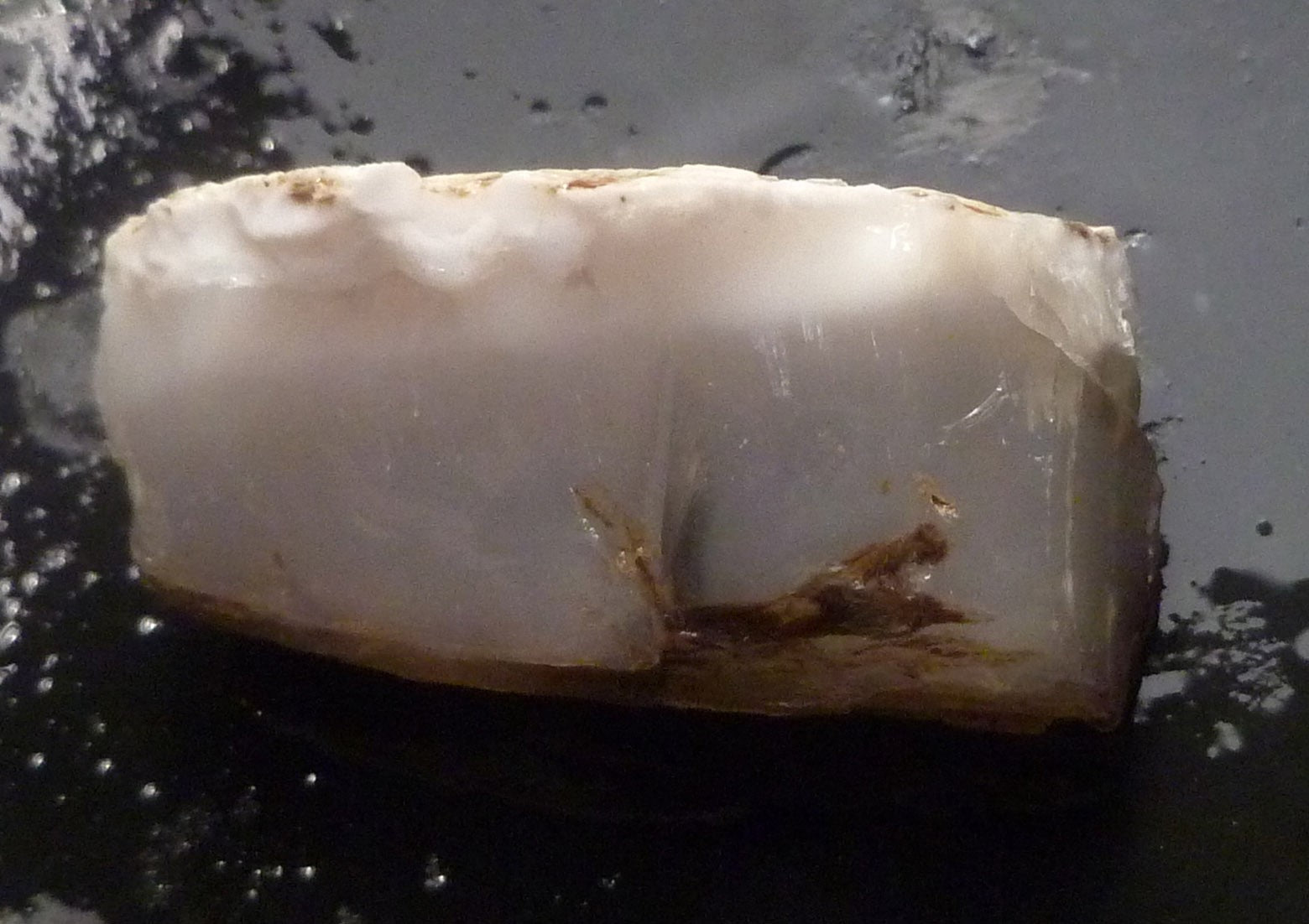 40cts Virgin Valley Opal Petrified Wood Log Specimen Nevada
