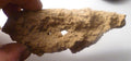 TOTALLY TUBULAR! 4.75" Natural Glass DOUBLE FULGURITE from LIGHTNING 121mm