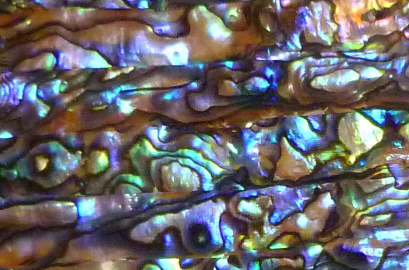 Big 5.5" x 9.5" Awesome Blue Purple Paua INLAY OVERLAY Luthier Scrapbooking DIY