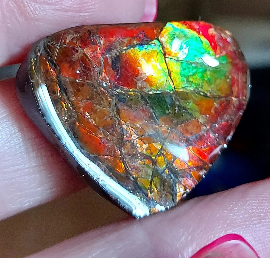 Ammolite Gem Stone 36x28x5mm Color Change Cabochon
