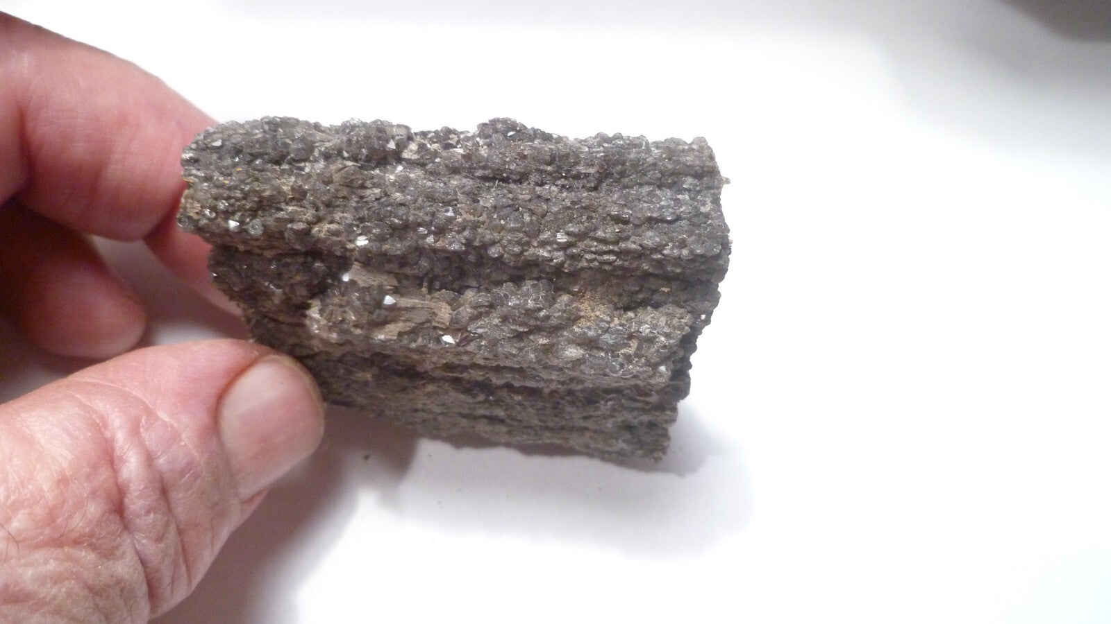 56mm PETRIFIED WOOD Druzy Quartz Crystal Cluster Mineral Specimen ALABAMA RARE