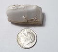Awesome!  Virgin Valley WHITE Opal Petrified Wood Log Nevada 40 cts