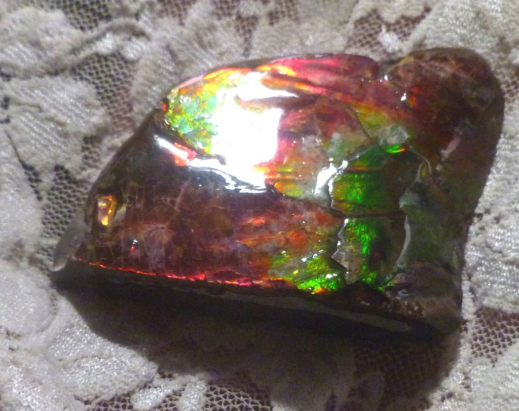 AMMOLITE Multi Colos Gemstone Amazing 51x39x17mm