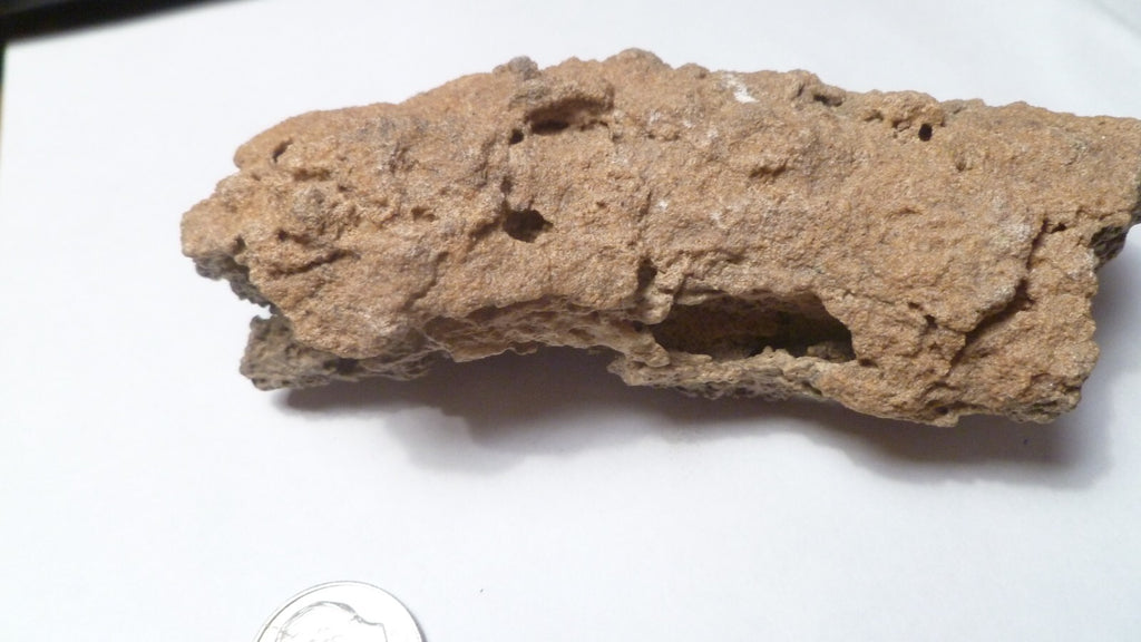 4.25" Fulgurite lightning fused sand Sahara Fossil Lightning