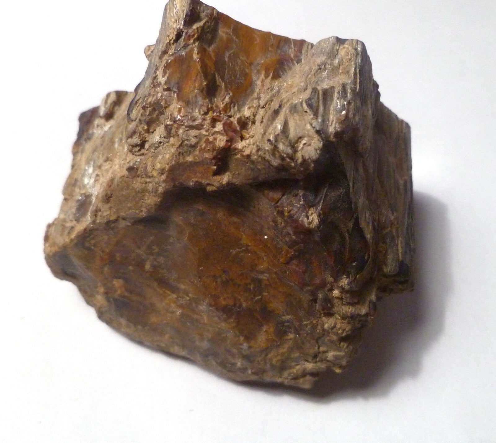 Agatized Petrified Wood Rough Cabbing 220g Polished Madagascar