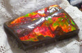 69x47x15mm  RED AMMOLITE gemstone Canada Ammonite