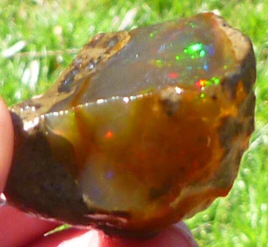 Chocolate Welo Ethiopia Precious Opal 289.4 carats Ethiopian