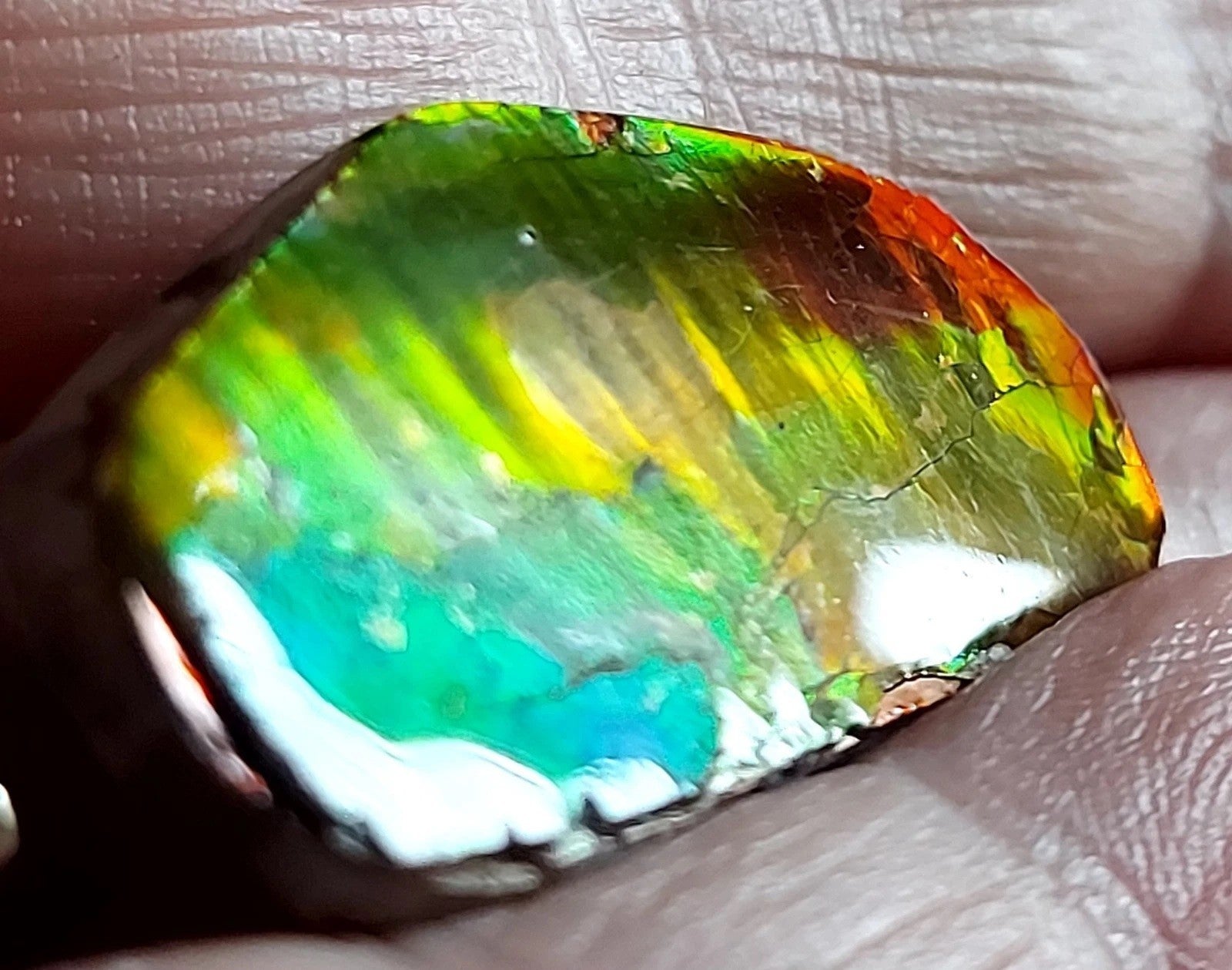 Ammolite Gem Stone 37x17x5mm Color Change Cabochon