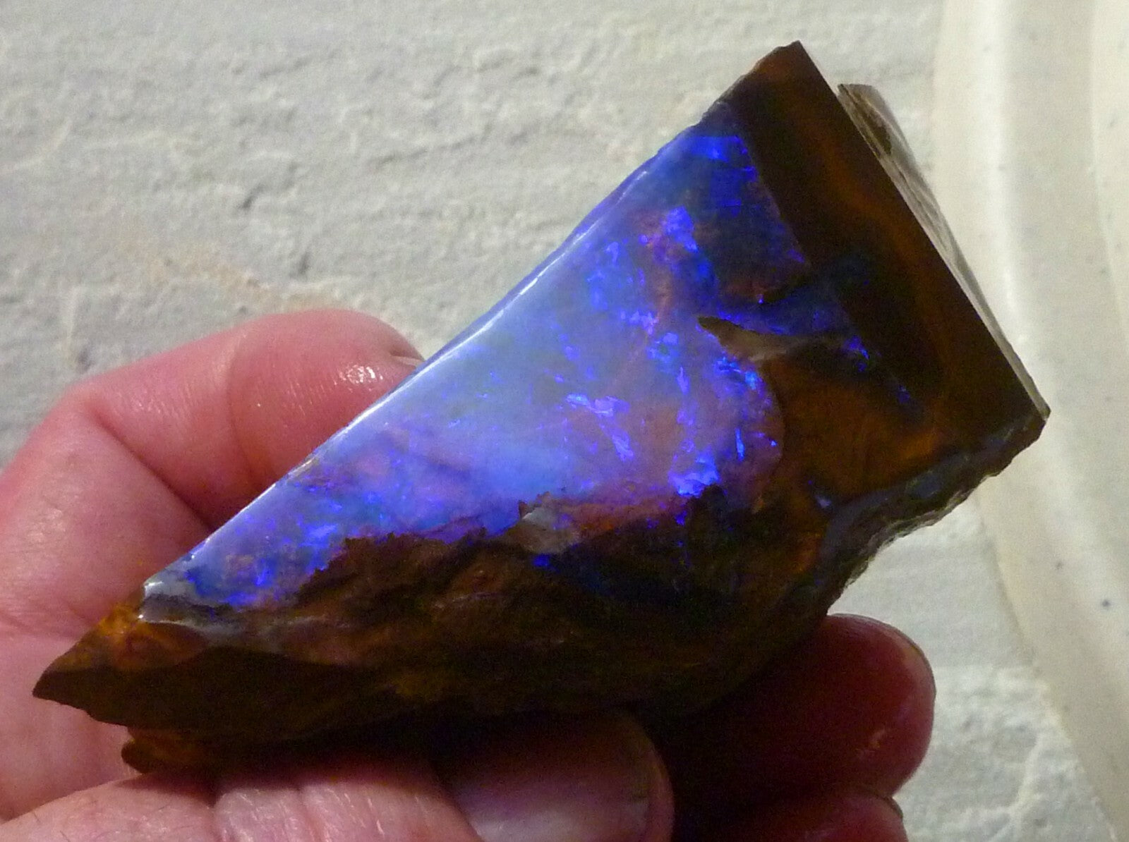 Boulder Opal FIRE & Blue Precious Rough Specimen Australian 700cts